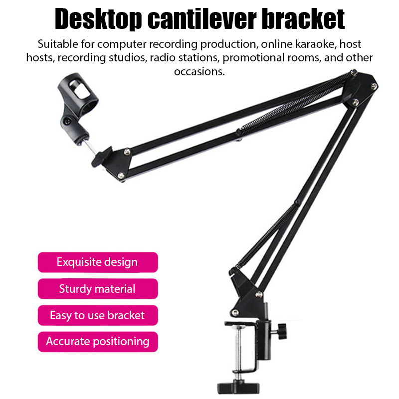 Professional Flexible Desktop  - Boom Arm Stand review and price