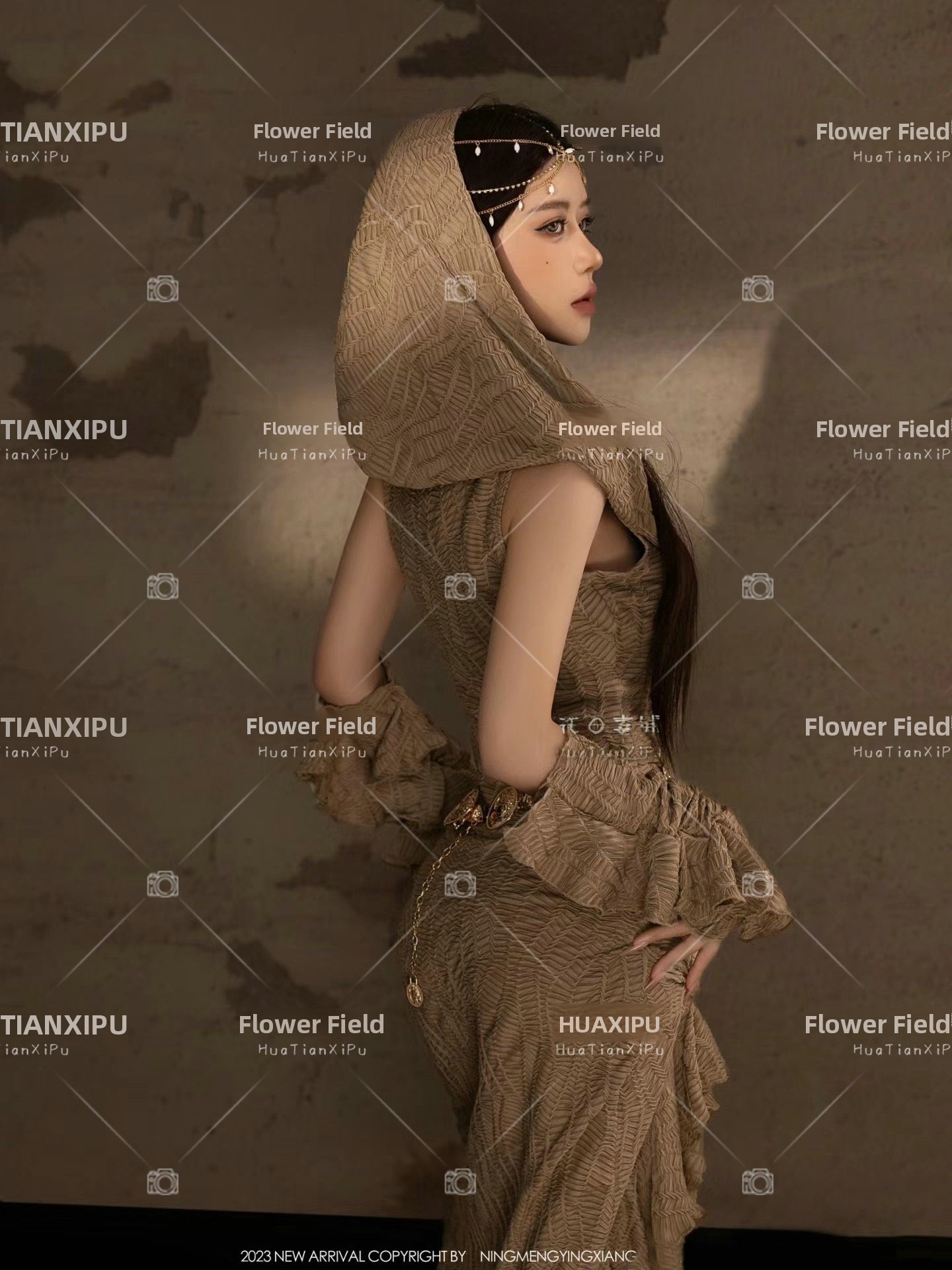 New Desert  Princess Style Pho - Photography Lighting Studio review and price